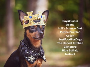 10 Best Dog Food Brands